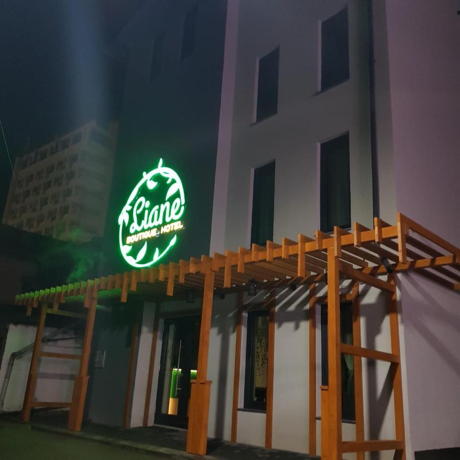 Liane Boutique Hotel Campulung Moldovenesc Ngoại thất bức ảnh